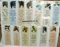 Horse Bookmarks